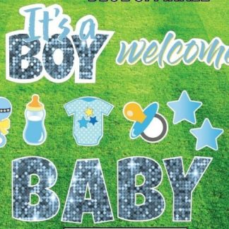 Baby Boy Shower/Arrival Yard Party