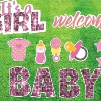 Baby Girl Shower/Arrival Yard Party