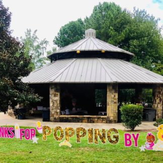 Baby Shower Yard Parties